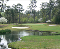 Golfing